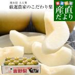  Kyushu из прямая поставка от производителя Kumamoto префектура большой шар груша тщательно отобранный сельское хозяйство дом. предубеждение груша примерно 5 kilo (10 шар из 14 шар ) бесплатная доставка . вода груша нет Kumamoto 