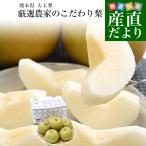  Kyushu из прямая поставка от производителя Kumamoto префектура большой шар груша тщательно отобранный сельское хозяйство дом. предубеждение груша примерно 2 kilo (4 шар из 6 шар ) бесплатная доставка . вода груша нет Kumamoto 