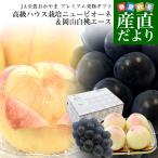  Okayama префектура JA все сельское хозяйство .... premium фрукты подарок [ высококлассный house культивирование новый pio-ne1.& Okayama белый персик Ace 4 шар ] большой . бесплатная доставка подарок лето подарок подарок на Bon Festival . средний изначальный 