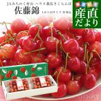  Yamagata префектура производство JA... .. гора house культивирование вишня [ Sato .]L из M размер Special превосходящий товар всего примерно 400g( примерно 200g×2 упаковка ) бесплатная доставка sa Clan bo......