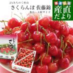  Yamagata префектура производство JA... .. гора вишня Sato . превосходящий товар и больше крупный L размер и больше примерно 1 kilo бесплатная доставка прохладный рейс sa Clan bo Sakura персик 