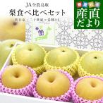 鳥取県産 JA全農鳥取 梨食べ比べセット 約1.8キロ 6玉入り(新甘泉、二十世紀×各種3玉)送料無料 なし 赤梨 青梨 詰め合わせ 爆買
