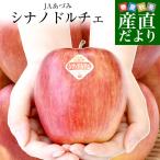 長野県産 JAあづみ 安曇野 シナノドルチェ 約3キロ (8玉から12玉)林檎 りんご 送料無料 市場発送 爆買