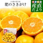 熊本県 JA熊本果実連 肥のさきがけ 約5キロ Sサイズ（60玉前後） 送料無料 蜜柑 ミカン