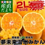 熊本県　JA熊本市　夢未来温州みかん　大玉2Lサイズ（手詰め21玉）約3.2キロ　送料無料 ミカン 蜜柑 市場発送