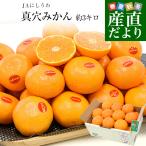 【お歳暮 ギフト】愛媛県 JAにしうわ 真穴みかん 約3キロ2Lサイズ（21玉) 送料無料 ミカン 蜜柑  愛媛みかん 市場発送