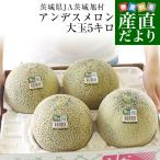 ショッピングから 茨城県産 JA茨城旭村 アンデスメロン A品 4Lから3Lサイズ 約5キロ (3玉から4玉) 送料無料 メロン めろん 青肉メロン