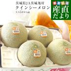 ショッピングから 茨城県産 JA茨城旭村 クインシーメロン A品 約5キロ (3玉から4玉) 3Lから4Lサイズ 送料無料 赤肉メロン めろん 赤肉