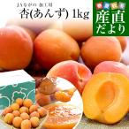 長野県産 JAながの 加工用「杏(あんず)」(品種:信州大実・平和・新潟大実など) 秀品 Lサイズ以上 約1キロ 送料無料 アプリコット 杏子 クール便