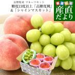 Nagano префектура производство фрукты комплект [ высота сахар раз персик ] сахар раз 13 раз и больше 4 шар ( примерно 1.2 kilo ) &[ автомобиль in мускат ]1. примерно 500g бесплатная доставка подарок фрукты набор 