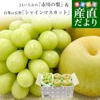千葉県産 JAいちかわ 市川の梨 優品以上 4玉(約1.4キロ)&山梨県又は長野県産 シャインマスカット 1房(約500g) 送料無料 ぶどう ナシ フルーツセット