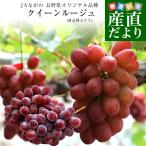 長野県 JAながの 新品種ぶどう クイーンルージュ 約1キロ(2房) 送料無料 ぶどう ブドウ 葡萄 赤ブドウ