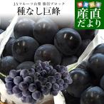  Yamanashi префектура производство JA фрукты Yamanashi . болото блок вид нет .. примерно 1.5 kilo (3. ввод ) бесплатная доставка .. виноград чёрный виноград * прохладный рейс 
