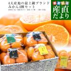 【お歳暮 ギフト】4大産地の最上級みかん4種詰め合わせ（和歌山 SQ・愛媛 味ピカ・静岡 天下糖一・熊本 草枕） LからSサイズ 合計約2.8キロ