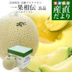  Kochi префектура производство высококлассный маска дыня [ один ...(... похоже ..)] хорошая вещь 1 шар примерно 1.6 kilo несессер бесплатная доставка ... маска дыня a-rus дыня 