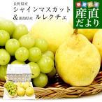  роскошный фрукты комплект Nagano префектура производство автомобиль in мускат 1. примерно 500g & Niigata префектура производство rurek che 4 шар (1 шар : примерно 270g) бесплатная доставка подарок фрукты подарок груша обыкновенная виноград 