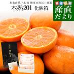 和歌山県 JA紀南 高糖度みかん 木熟201 糖度14度以上 化粧箱 約1.2キロ MからSサイズ (12玉から15玉入) 送料無料 蜜柑 ミカン 柑橘