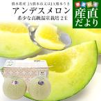  Kumamoto префектура производство JA Kumamoto город кроме того, JA Kumamoto ослабленное крепление Anne tes дыня 4L из 3L размер превосходящий товар примерно 2.5 kilo (2 шар входить ) бесплатная доставка дыня синий мясо 