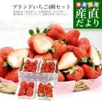  клубника 4 вид ... всего примерно 1 kilo [ Fukuoka префектура .... примерно 270g&amp; Shizuoka префектура прекрасное платье .. примерно 280g&amp; Tochigi префектура Sky Berry примерно 270g&amp; Kumamoto префектура .... примерно 250g] бесплатная доставка 
