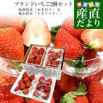  бренд клубника 2 вида комплект всего примерно 1 kilo [ Fukuoka префектура производство [....] примерно 270g×2 упаковка &amp; Tochigi префектура производство [ Sky Berry ] примерно 270g×2 упаковка ] бесплатная доставка . клубника клубника 