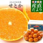 ショッピングせとか 愛媛県産 JAえひめ中央 せとか 青秀以上　3Lから2Lサイズ 約5キロ（14玉から18玉前後）送料無料 柑橘 オレンジ