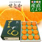 ショッピングせとか 愛媛県産 JAえひめ中央 せとか 赤秀品 化粧箱 3ＬからLサイズ 約3キロ（10玉から15玉） 送料無料 柑橘 オレンジ
