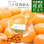 静岡県 JAみっかび 三ヶ日みかん 青島誉れ（冷風貯蔵）希少な小玉 ＭからSサイズ 青秀品 約4キロ（40玉から50玉前後）蜜柑 ミカン 青島みかん 送料無料