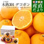 和歌山県 JA紀南 木熟301 デコポン ４Lから３Lサイズ 秀品 1.8キロ前後（6玉） 柑橘 かんきつ 送料無料