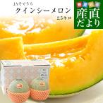  Yamagata префектура производство JA....k in si- дыня super товар и больше большой шар 3L размер примерно 2.5 kilo (2 шар ввод ) бесплатная доставка ... подарок лето подарок подарок на Bon Festival 