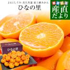 [ подарок по случаю конца года подарок ] Ehime префектура JA.... подлинный дыра вместе выбор высший класс мандарин [... .]2L из S размер 3 kilo (16 шар из 36 шар ) бесплатная доставка mi can меласса . рынок отправка 