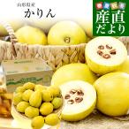  Yamagata префектура производство Karin примерно 4 kilo превосходящий товар и больше L из M размер (12 шар из 16 шар ввод ) бесплатная доставка айва китайская айва китайская 