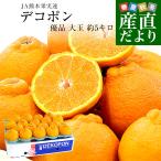 熊本県産 JA熊本果実連 デコポン 優品 5キロ 4Lから2Lサイズ (15玉から20玉) 送料無料 でこぽん デコぽん 柑橘