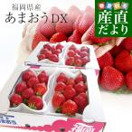  Fukuoka префектура производство супер пик ....DX вдоволь 2 коробка 1080g ( всего 28 шарик из 48 шарик )(540g×2 коробка ) бесплатная доставка amaou Deluxe сельское хозяйство . клубника . клубника 