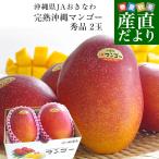 沖縄県産 JAおきなわ 完熟沖縄マンゴー 秀品 2Lから3Lサイズ×2玉 合計700g (約350g×2玉) 送料無料 まんごー ギフト 夏ギフト お中元 御中元