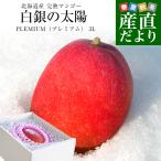 ショッピングマンゴー 北海道産　完熟マンゴー「白銀の太陽PLEMIUM（プレミアム）」3Lサイズ1玉（450gから509g）まんごー 送料無料