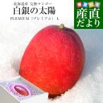 北海道産　完熟マンゴー「白銀の太陽PLEMIUM（プレミアム）」Lサイズ1玉（310gから349g）まんごー 送料無料