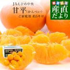 ショッピング甘平 愛媛県産 JAえひめ中央 甘平 青〇品以上 4Lから5L 約5キロ(10玉から15玉前後) 送料無料 柑橘 オレンジ カンペイ 爆買