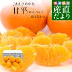 ショッピング甘平 愛媛県産 JAえひめ中央 甘平 青秀品 3LからL 約2.5キロ(6玉から13玉前後) 送料無料 柑橘 オレンジ カンペイ 爆買