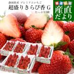  Shizuoka префектура производство premium клубника супер пик прекрасное платье ..G вдоволь 3 коробка всего 1.5 kilo и больше ( примерно 260g×6 ввод ) итого 30 шарик из 72 шарик ввод бесплатная доставка . клубника . покупка 