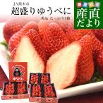  Kumamoto префектура производство JA Kumamoto город супер пик .... превосходящий товар вдоволь 3 коробка всего примерно 1.5 kilo ( примерно 250g×6 ввод ) итого 42 шарик из 77 шарик бесплатная доставка клубника . клубника . покупка 