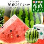 山形県産 JAみちのく村山 尾花沢すいか <A品> 大玉5Lサイズ以上 1玉 9キロ以上 西瓜 スイカ すいか 送料無料 爆買