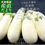 高知県芸西村産 南風クラブの白なす 2LからLサイズ　約1.6キロ（8本入） ナス 茄子 市場発送 ※クール便