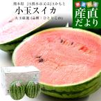  Kumamoto префектура производство JA Kumamoto город кроме того, JA... маленький шар арбуз ( товар вид :.....) super товар и больше всего 4 kilo ( примерно 2 kilo ×2 шар ) бесплатная доставка ... запад .