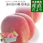 山梨県産 JAフルーツ山梨 春日居支所 春日居の桃 特秀品 約1.8キロ(6玉) 送料無料 もも モモ ピーチ ギフト 夏ギフト お中元 御中元