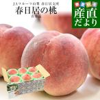 山梨県産 JAフルーツ山梨 春日居支所 春日居の桃 青秀品 約1.8キロ(6玉) 送料無料 もも モモ ピーチ ギフト 夏ギフト お中元 御中元