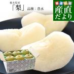栃木県産 「梨」 品種:豊水 約2キロ (5玉から6玉) 送料無料 なし ナシ 豊水梨 ほうすい 爆買
