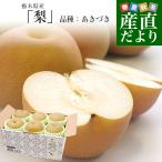 栃木県産 「梨」 品種:あきづき 約2キロ (5玉から6玉) 送料無料 なし ナシ あきづき梨 秋月 爆買