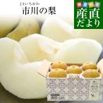  Chiba префектура производство JA.... Ichikawa. груша (..* внизу .. главный часть др. ) super товар и больше большой шар примерно 2 kilo (4 шар из 6 шар ) бесплатная доставка груша нет нет . вода . легкий ...... покупка 