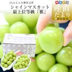  Yamanashi префектура производство JA..... склон главный место автомобиль in мускат высокого класса и т.п. класс [.] примерно 1.2 kilo (2. ввод ) бесплатная доставка большой . крупный виноград мускат подарок 