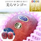  Okinawa префектура .. прямая поставка от производителя JA.... прекрасный . манго высший класс Special A товар супер большой шар 4L из 3L размер 1 kilo передний и задний (до и после) (2 шар входить ) бесплатная доставка Okinawa манго Apple манго ... манго 